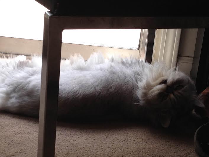 Sunday stuff, week one